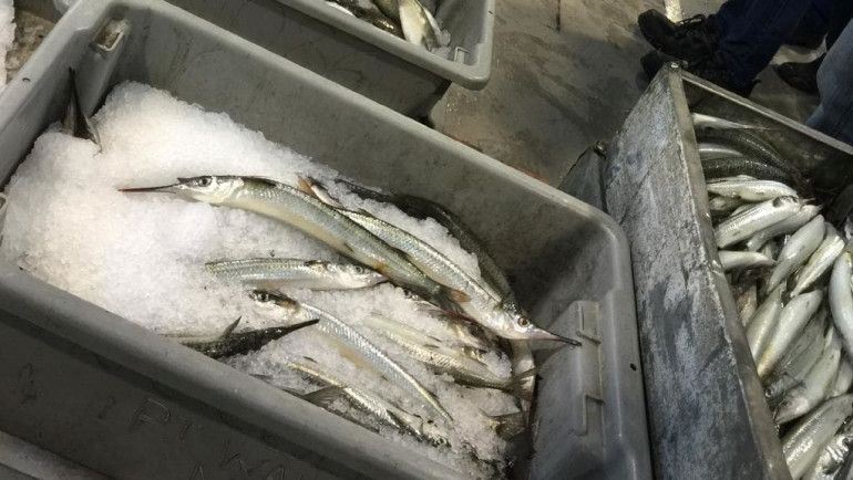 Balık Tazeliği ve Buz Kullanımı